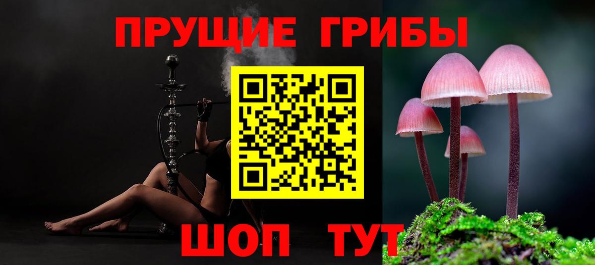 Псилоцибиновые грибы прущие грибы Котельники